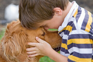Creatively fundraise by incorporating animals into your school's fundraiser.