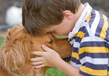 Creatively fundraise by incorporating animals into your school's fundraiser.